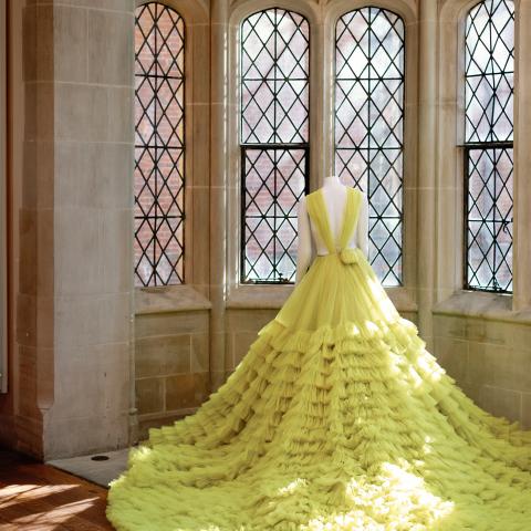 A Dress Designed for Celine Dion